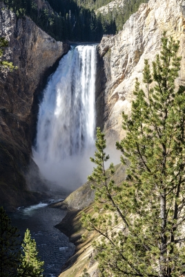Lower Falls Yellowstone River 2024